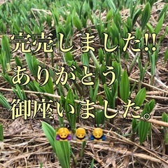 行者にんにく1kg