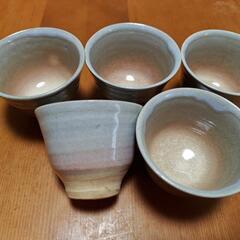 萩焼　湯呑み5個セット