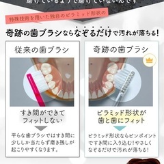 【メディア掲載】奇跡の歯ブラシ　の画像