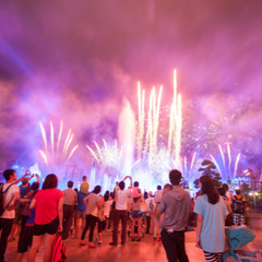 🌟現在１０名【20代限定】足立の花火！お座敷で鑑賞できる旅行恋活イベント開催🌟 − 東京都