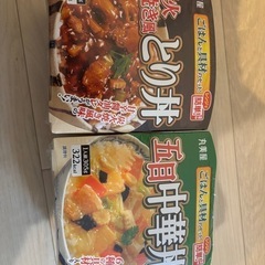とり丼と中華丼