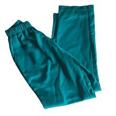 半田高校　体操服　ジャージズボン（男子）Ｌ（みどり）