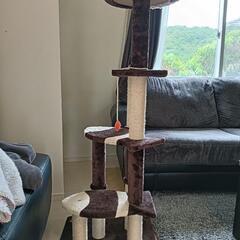 キャットタワー