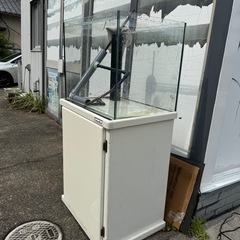 近日処分予定　水槽【値下げ実施中！！】