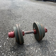 ダンベル　いかがですか？