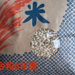 【令和6年度産】　低農薬　もち米　玄米　4キロ