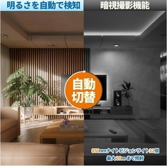 新品未使用✨️トレイルカメラ 電池式 超ミニ防犯カメラ 動画2K 静止画3600万画素 暗視カメラ 動体検知 赤外線人感センサー 屋外 屋内カメラ 野外監視 IP56級防水防塵 120°検知範囲 高速トリガースピード 2個入りの画像