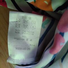 水着 女の子の画像