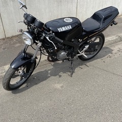 希少‼️ YAMAHA ヤマハ TZR50R 2スト セル付き