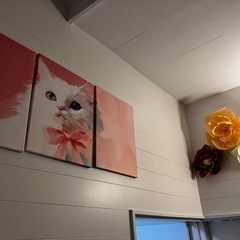 調布🐈保護猫と暮らせるシェアハウス - 調布市