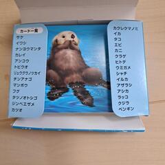 海の生き物カードの画像