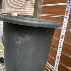大きなプラポット