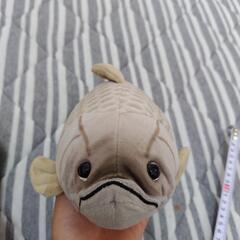 【取引中】アカメ　ぬいぐるみの画像