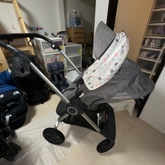 バギー【STOKKE】の画像