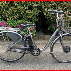 ブリヂストン 電動アシスト自転車（2022年）フロンティアDX ...