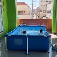 取り引き中です。大型プールの画像