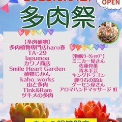 2025  6/1「多肉祭」と昔ながらの「青空市」フリーマーケット