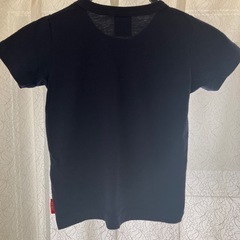 【champion】 110の画像