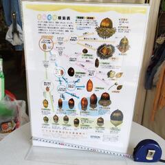 アクリル　スタンド
