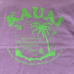 新品Tシャツ130ハワイアメリカプレミアムコットン120の画像