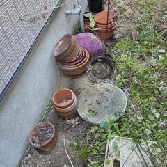 5月20までの対応　植木鉢無料で差し上げます。