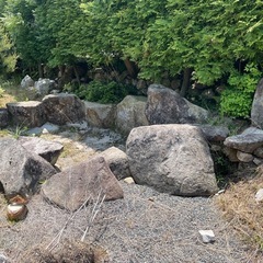 庭木、庭石　欲しいものをどうぞの画像