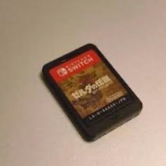 Switch ゼルダ　ブレスオブザワイルド　