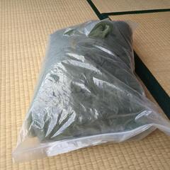 100系ハイエース蚊帳