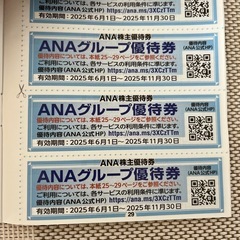 ANA グループ優待券の画像