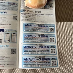 ANA グループ優待券の画像