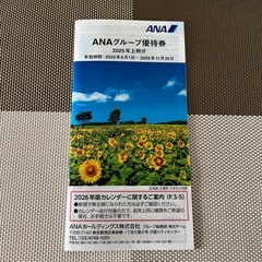 ANA グループ優待券
