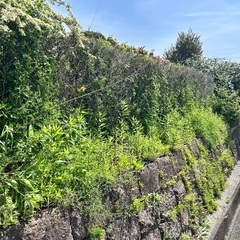 草刈りや剪定、引越し手伝い等 - 手伝いたい/助けたい