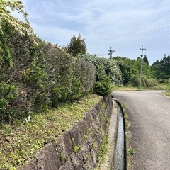 草刈りや剪定、引越し手伝い等 − 宮崎県