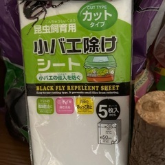 夏休みの暇つぶしにの画像
