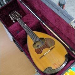 0512-185 SUZUKI VIOLIN m-50 マンドリン