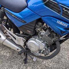 （お話中）YAMAHA　YBR125（13RE）2011年式の画像