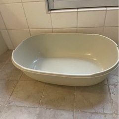 猫トイレの画像
