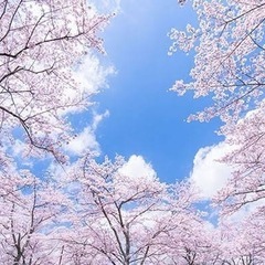 デートに行っても「友達どまり」で終わることが多いあなたへ✨