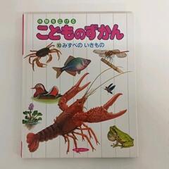 0512-027 【こどものずかん】みずべのいきもの