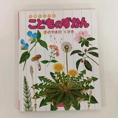 0512-030 【こどものずかん】のやまのくさき