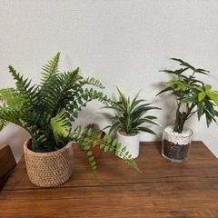 人工観葉植物