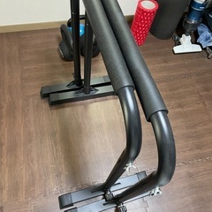 ディップスバー