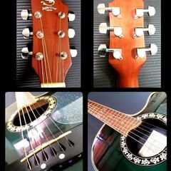 ★Ovation タイプ★Sepia Crue custom EA300-BLSの画像