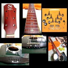 ★Ovation タイプ★Sepia Crue custom EA300-BLSの画像