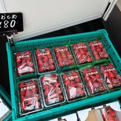 福島県産🍓とちおとめ入荷しました✨