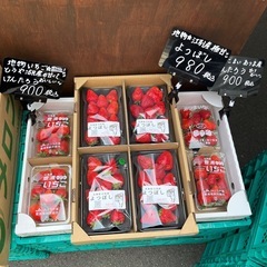 地物🍓けんたろう・よつぼし入荷しました！✨