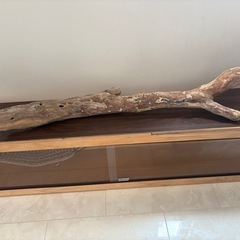 爬虫類ケージ　1820x320x420飼育フルセットの画像