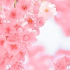 一緒に花を咲かせませんか？
