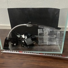 水槽セット　30cm  雑魚グッピー　20匹オマケ