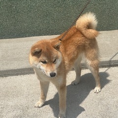人かっこいかわいい男の子です。 − 福岡県